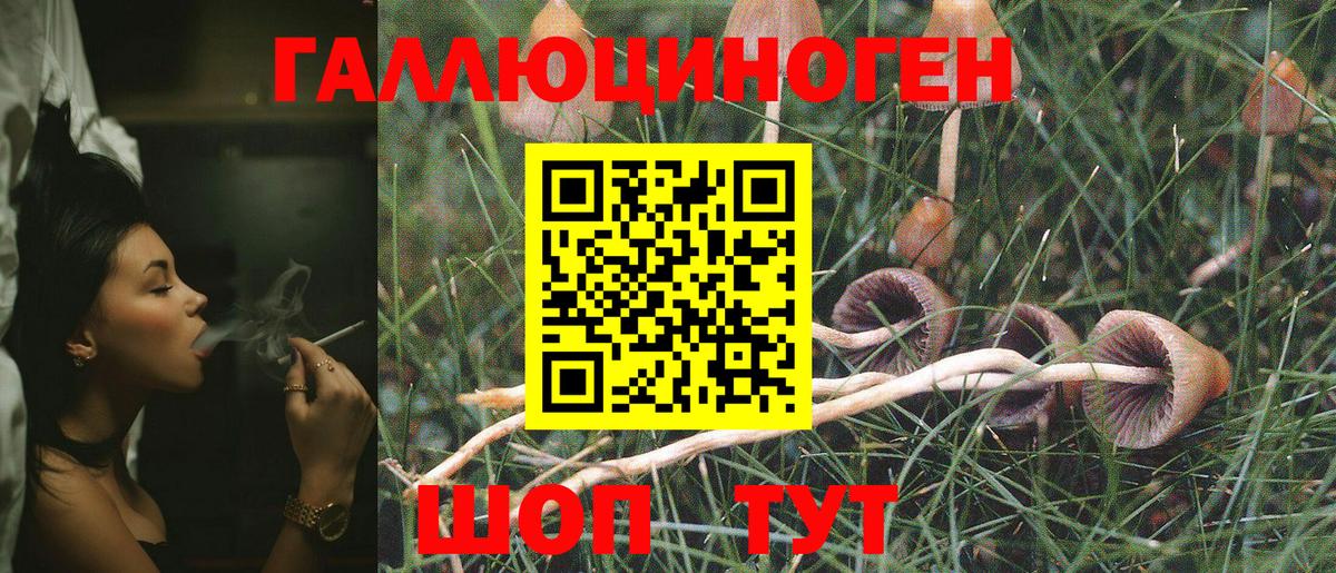 Вышний Волочёк  Псилоцибиновые грибы MAGIC MUSHROOMS  наркошоп  Вход с VPN 