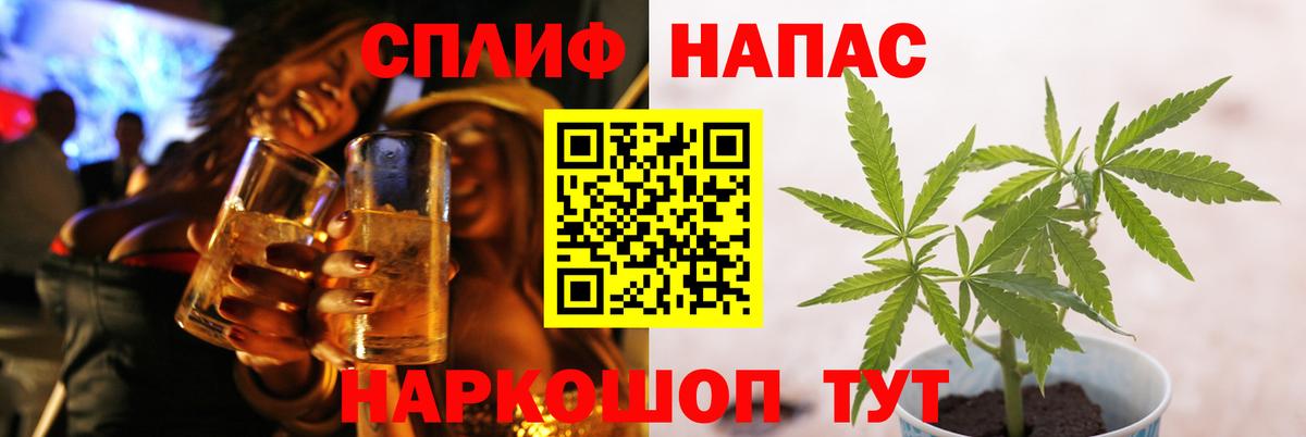 Каннабис OG Kush Вышний Волочёк